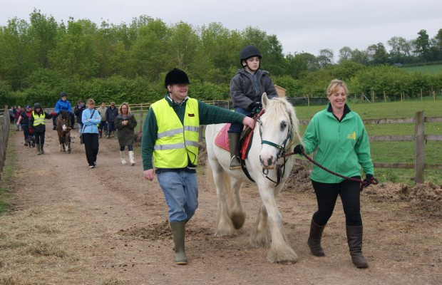 Therapeutic animal care experiences for children and adults of all ages and abilities.