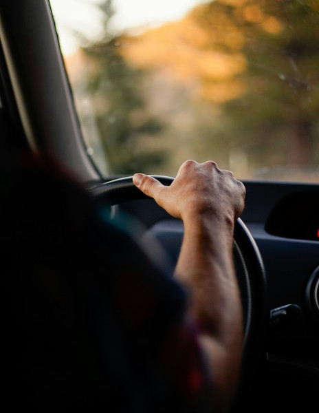 COMPANION DRIVERS NEEDED - RWB AREA