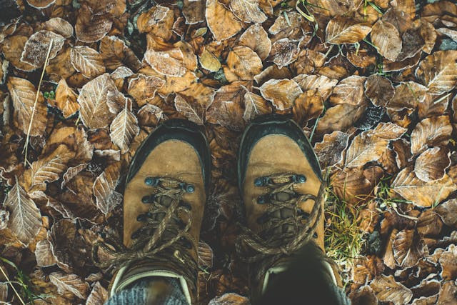Trowbridge Walking Forum