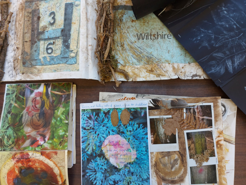 Wild Art: Wanders in Nature with Wiltshire Wildlife Trust - A series of creative sessions