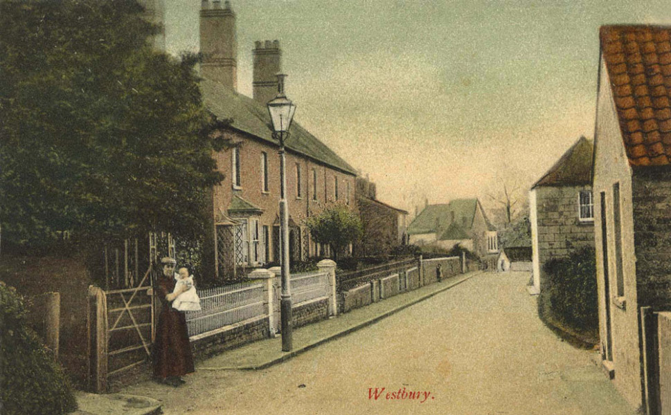 Session Volunteer for Westbury Museum