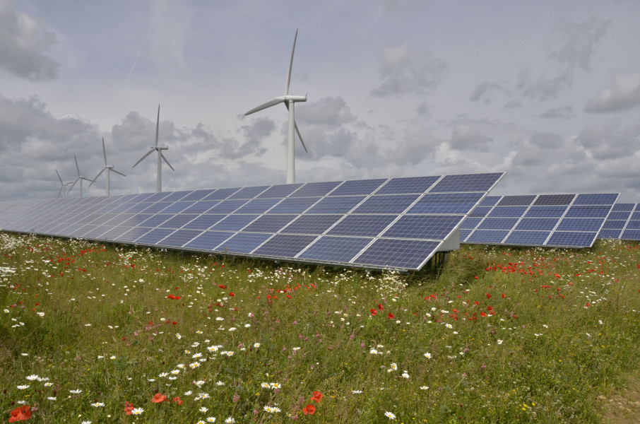 Volunteer Tour Guides needed at Westmill Wind Farm & Solar Park