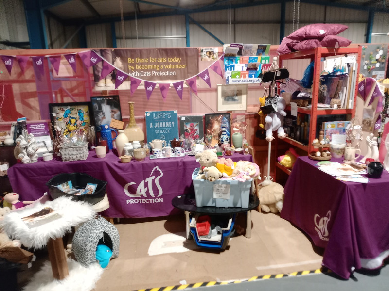 Salisbury and District Cats Protection Stall at Phoenix Emporium