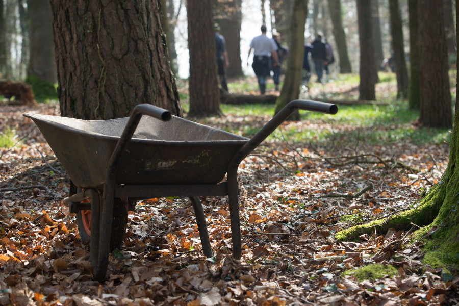Become a volunteer of Hazel Hill Wood and help look after our nature reserve and education centre