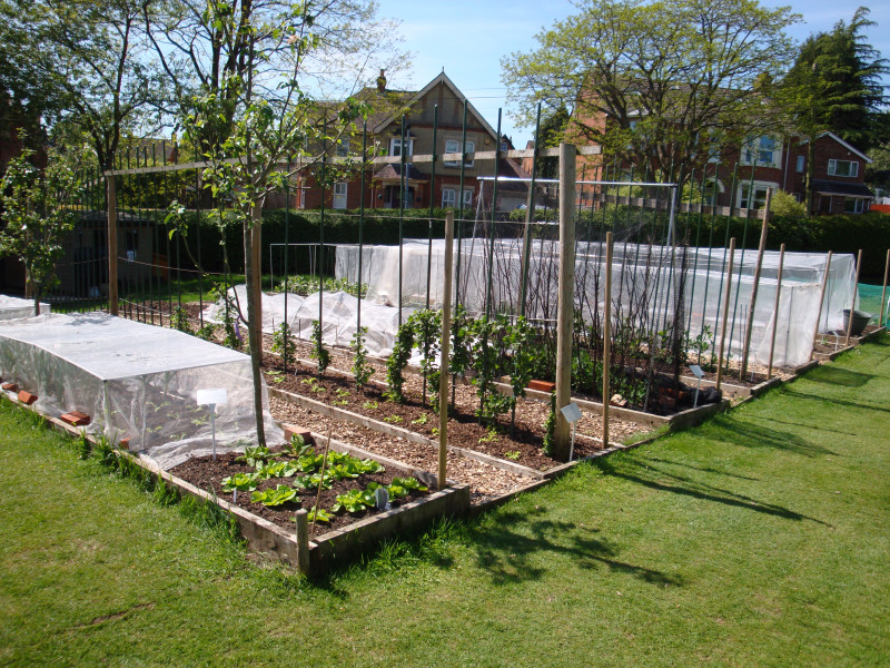 Team leaders and gardeners experienced in propagating vegetables needed at the F3 project