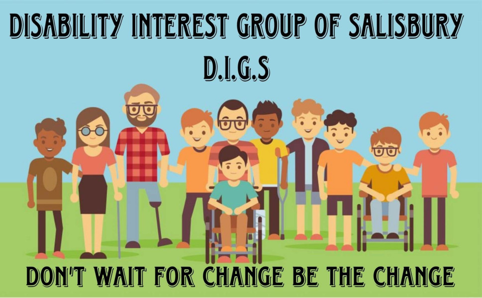Looking to make a difference in Salisbury around access and disability issues?