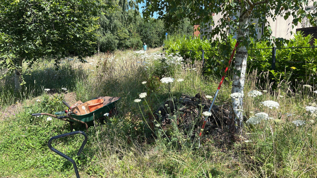 Can you spare a few hours a month to help with planting, monitoring wildlife or outreach?