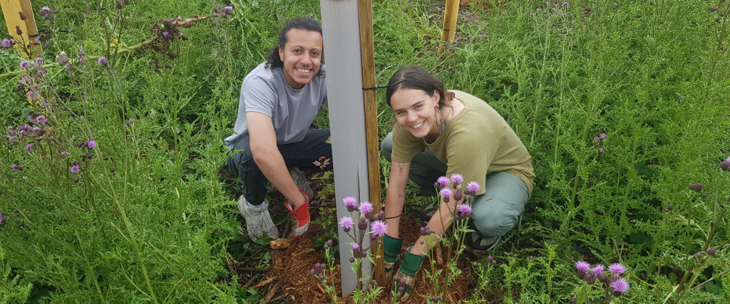 Community Woodland Public Volunteering Day - 12th July. Could you come along and help?