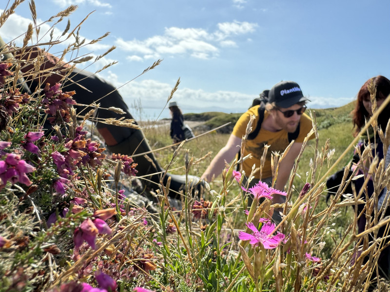 Fundraising Admin Support Volunteer needed at Plantlife Salisbury office