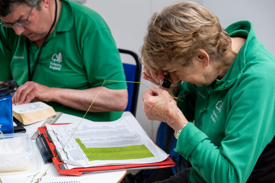 Westonbirt National Arboretum volunteer recruitment day - Saturday 22nd November