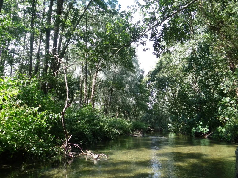 Ranger contract with Broken Bridges nature reserve in Salisbury
