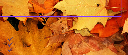 Discovering Wellbeing - course in Salisbury for families and community members over 19 years