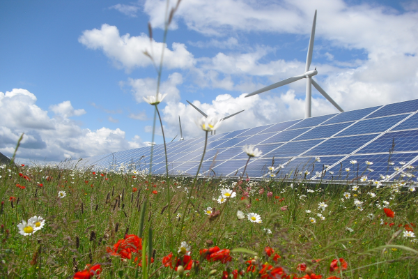 Honorary Treasurer (Trustee)