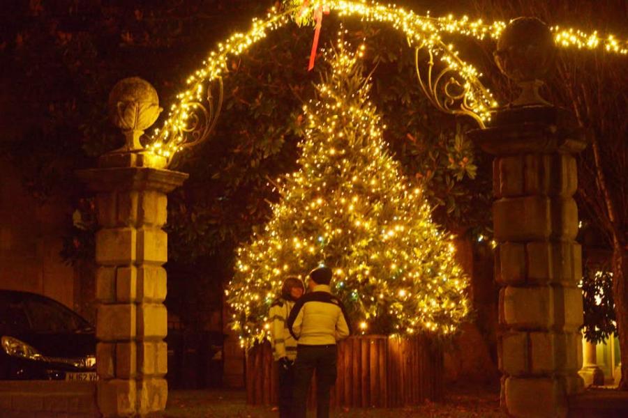 Christmas Lights Switch-On