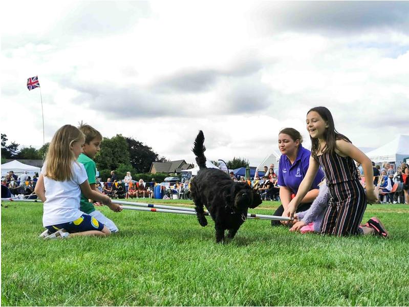 Paws Charity Dog Show