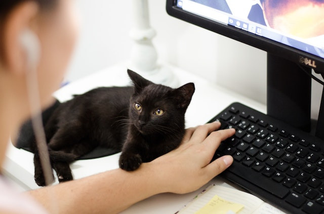 Are you looking for basic computer training? Come to our volunteer-led club for help