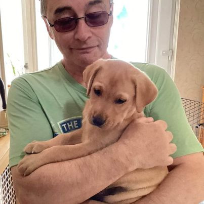 Become a volunteer puppy raiser for a year