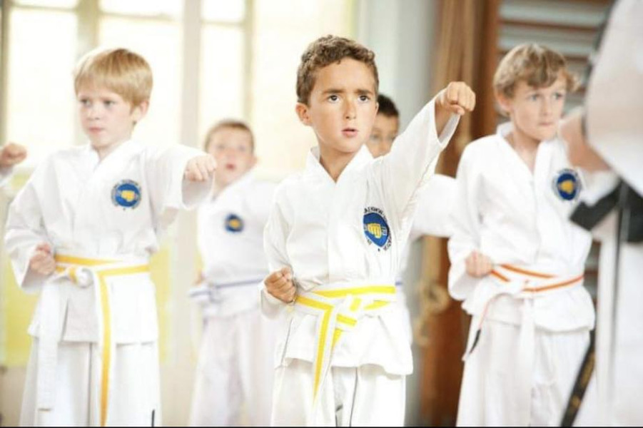 TaeKwon-Do and Kickboxing classes for the whole family.